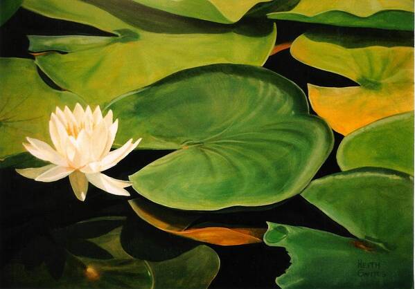 Lily Art Print featuring the painting Water Lily by Keith Gantos