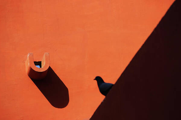Shadow Photography Art Print featuring the photograph Water Outlet Vs The Pigeon by Prakash Ghai