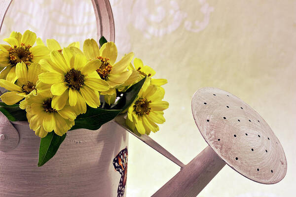 Daisies Art Print featuring the photograph Watering Can Daisies by Sandra Foster