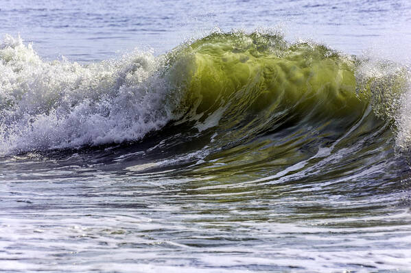 Sea Green Art Print featuring the photograph Wave#32 by WAZgriffin Digital