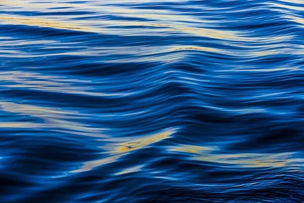 Water Art Print featuring the photograph Waves by Elmer Jensen