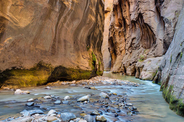 Zion National Park Art Print featuring the photograph Way of the Narrows by Adam Mateo Fierro