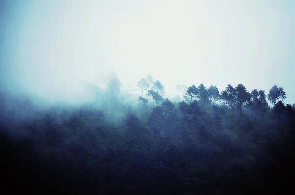 Landscape Art Print featuring the photograph We Dreamed of Mountains by Studio Yuki