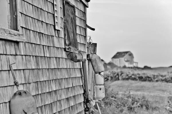 Weathered Art Print featuring the photograph Weathered Profile by Marisa Geraghty Photography