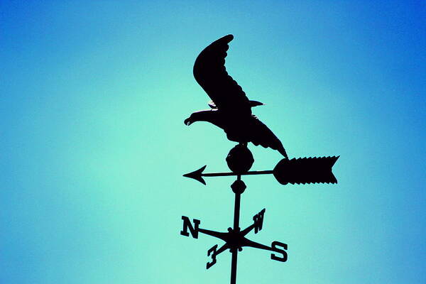 Blue Art Print featuring the photograph Weathervane in Summer Blues by Colleen Cornelius