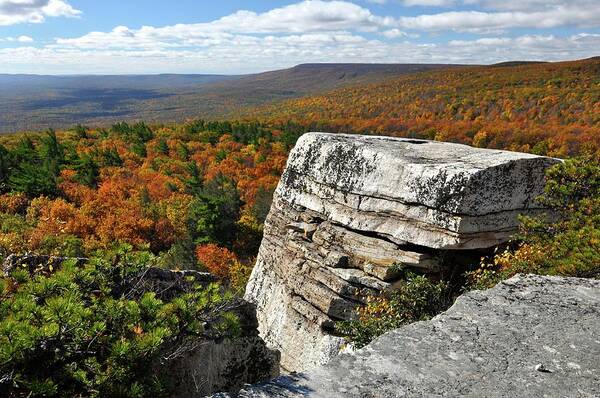 #hike Art Print featuring the photograph Wednesday Hike #1 by Cornelia DeDona