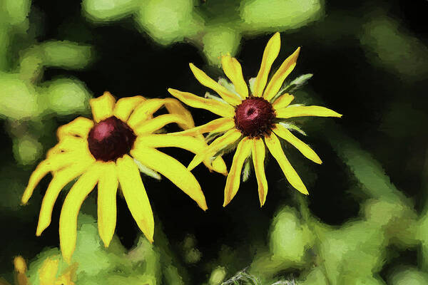 Yellow Wild Flowers Art Print featuring the photograph Wetland Daisies Painterly 070818 by Mary Bedy