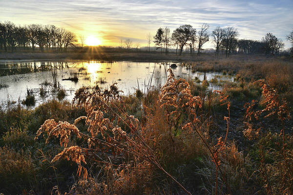 Glacial Park Art Print featuring the photograph Wetland Sunrise in Hackmatach National Wildlife Refuge by Ray Mathis