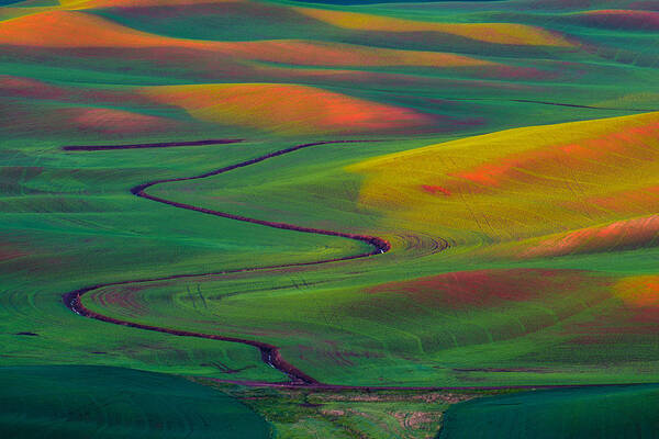 Landscape Art Print featuring the photograph Wheat rolling field - Palouse by Hisao Mogi