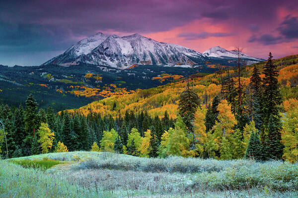 Aspen Art Print featuring the photograph When Fall Comes To Colorado by John De Bord