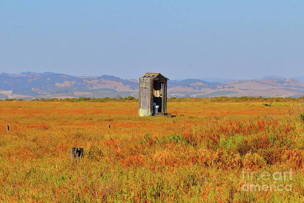 Outhouse Art Print featuring the photograph When Nature Calls by Leia Hewitt