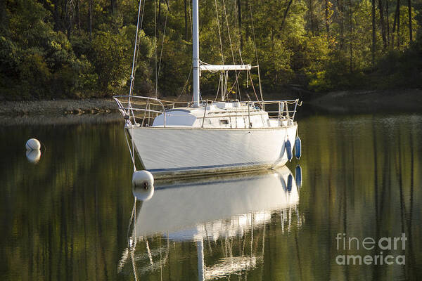  Art Print featuring the photograph Whiskeytown Reflections by Randy Wood