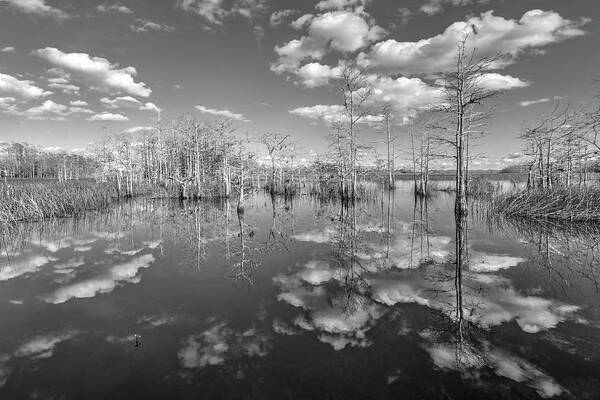 Clouds Art Print featuring the photograph White Clouds over the Everglades Black and White by Debra and Dave Vanderlaan