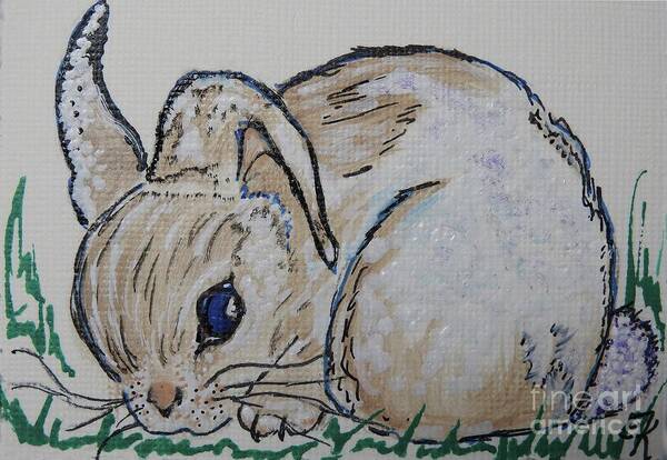 Rabbit Art Print featuring the painting White Cotton-Tail Rabbit #1003 by Ella Kaye Dickey