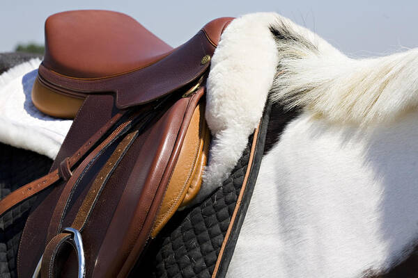 Horse Art Print featuring the photograph White horse and saddle by Marilyn Hunt