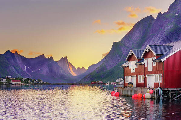 Lofoten Art Print featuring the photograph White night in Reine by Dmytro Korol