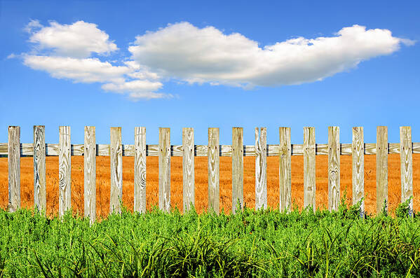 Old Country Fence Art Print featuring the photograph White Picket Fence by Steven Michael