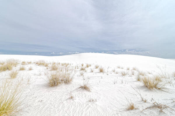 Darin Volpe Architecture Art Print featuring the photograph White Sand, Gray Sky - White Sands National Monument by Darin Volpe