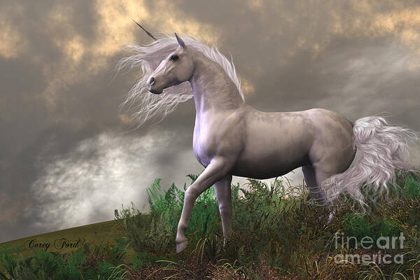 White Unicorn Stallion by Corey Ford
