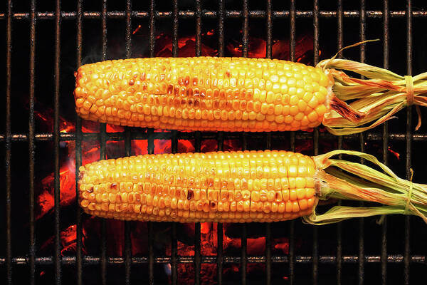 Corn Art Print featuring the photograph Whole Corn on grill by Johan Swanepoel