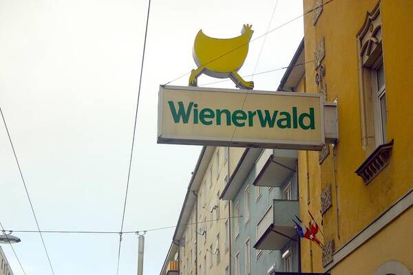 Chicken Art Print featuring the photograph Wienerwald in Salzburg by Minaz Jantz
