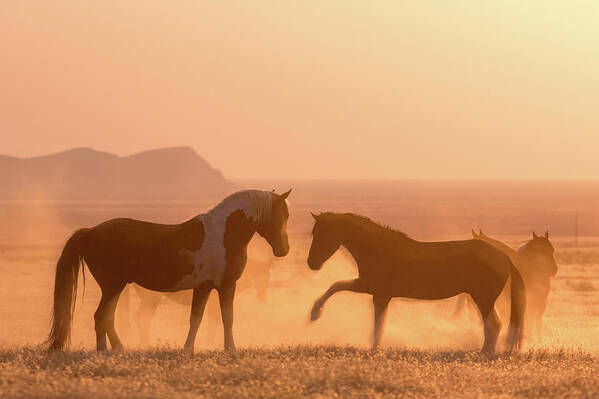 Horse Art Print featuring the photograph Wild Horse Glow by Wesley Aston