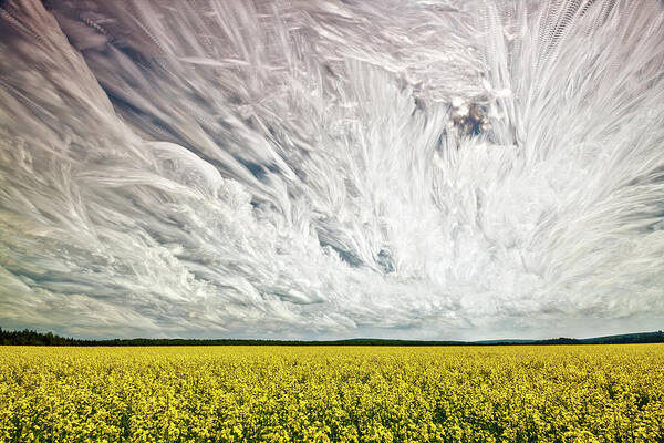 Matt Molloy Art Print featuring the photograph Wild Winds by Matt Molloy