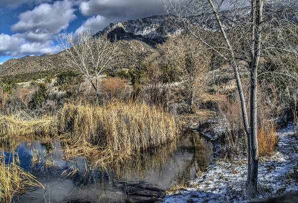 New Mexico Art Print featuring the photograph Wildlife Water Hole by Alan Toepfer