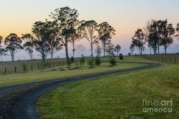 Winding Road Art Print featuring the photograph Winding road through paddock at dawn by Sheila Smart Fine Art Photography