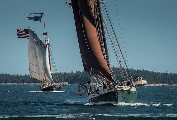  Boat Art Print featuring the photograph Windjammer Race by Fred LeBlanc
