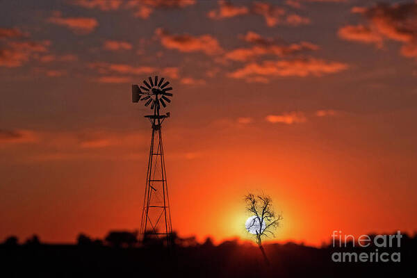 Sun Art Print featuring the photograph Windmill at Sunset by Norma Warden