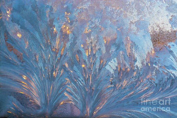 Cheryl Baxter Photography Art Print featuring the photograph Window Frost At Sunset by Cheryl Baxter