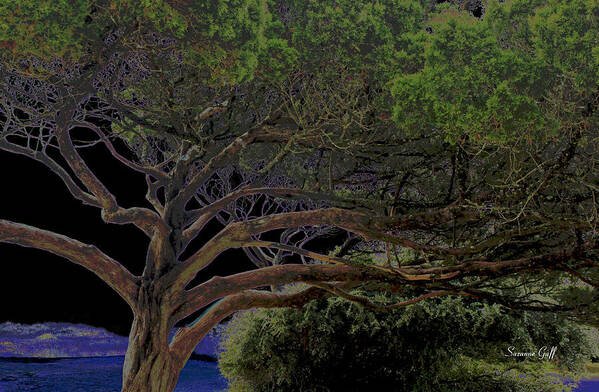 Tree Art Print featuring the photograph Windswept Dreams by Suzanne Gaff