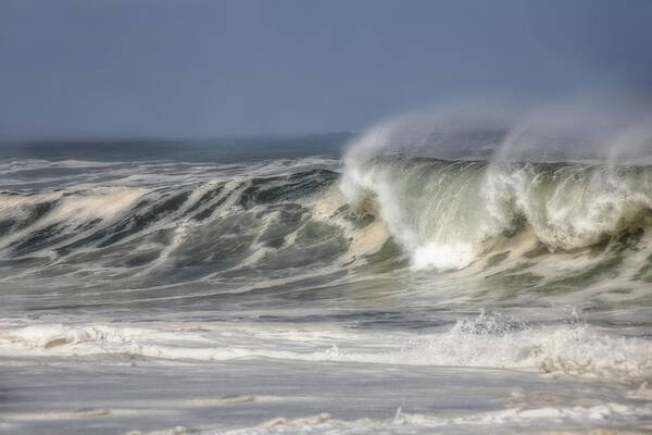 Pacific Art Print featuring the photograph Windswept by Mark Alder