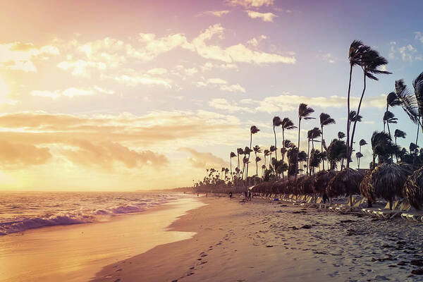 #puntacana Art Print featuring the photograph Windy Morning on the Beach by Rebekah Zivicki