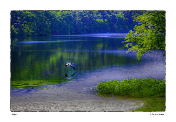 Lake Art Print featuring the photograph Wings by R Thomas Berner