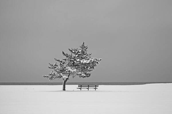 Winter Art Print featuring the photograph Winter At The Beach by Karol Livote