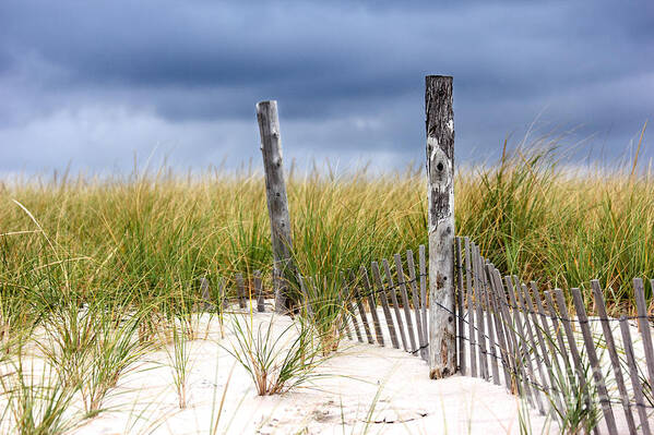 Beach Art Print featuring the photograph Who knows how long this will last by Dana DiPasquale