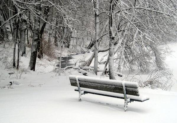 Winter Bench Art Print featuring the photograph Winter Bench by Suzanne DeGeorge