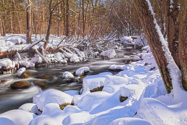 Winter Art Print featuring the photograph Winter Crisp by Angelo Marcialis