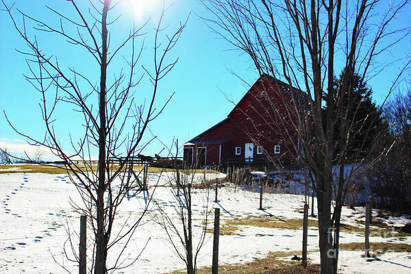 Winter Art Print featuring the photograph Winter Farm House by Laura Kinker