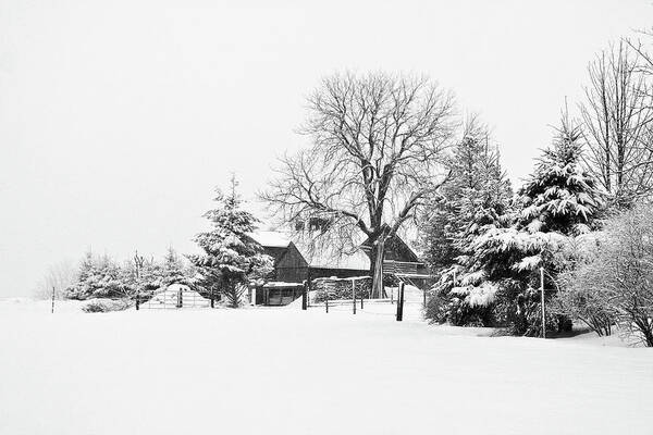 Winter Art Print featuring the photograph Winter in Black and White Fleckl, Germany 2 by Tatiana Travelways