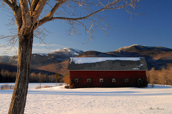 Red Art Print featuring the photograph Winter in New England by Alana Ranney