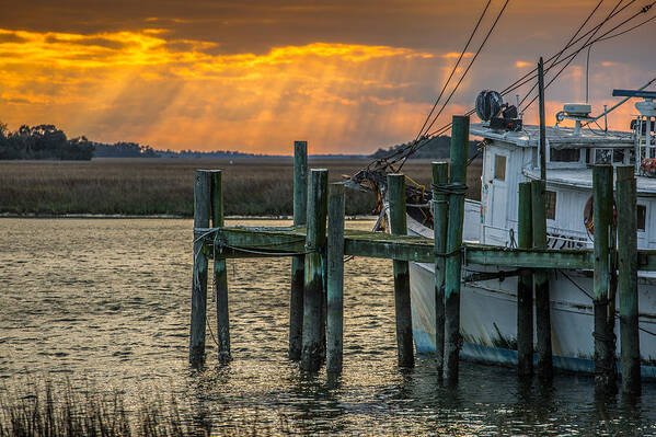 Lowcountry Art Print featuring the photograph Winter in the Lowcountry by Donnie Whitaker
