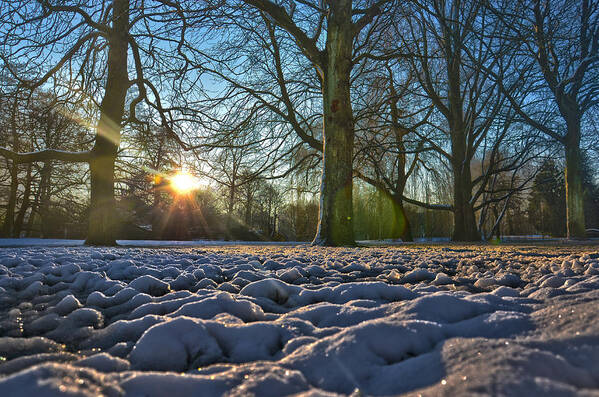 Sun Art Print featuring the photograph Winter In The Park by Frans Blok