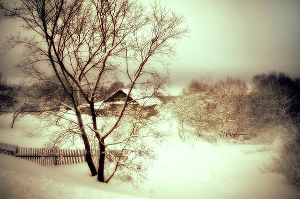 Winter Art Print featuring the photograph Winter Loneliness by Jenny Rainbow