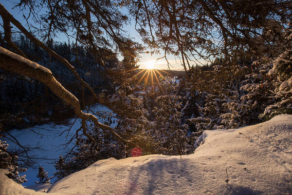 Bitter Art Print featuring the photograph Winter Morning Hike at Kakabeka Falls 5 by Jakub Sisak