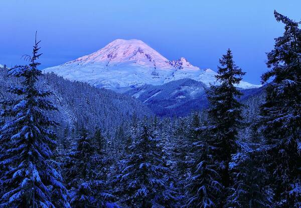 Winter Morning With Mount Rainier Art Print featuring the photograph Winter morning with Mount Rainier by Lynn Hopwood