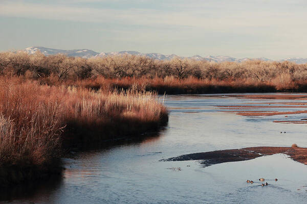 Winter Art Print featuring the photograph Winter on the Rio Grande by David Diaz