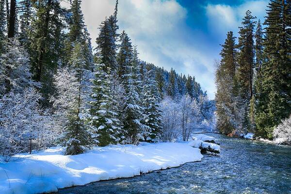 Winter Scene On The River Art Print featuring the photograph Winter scene on the river by Lynn Hopwood